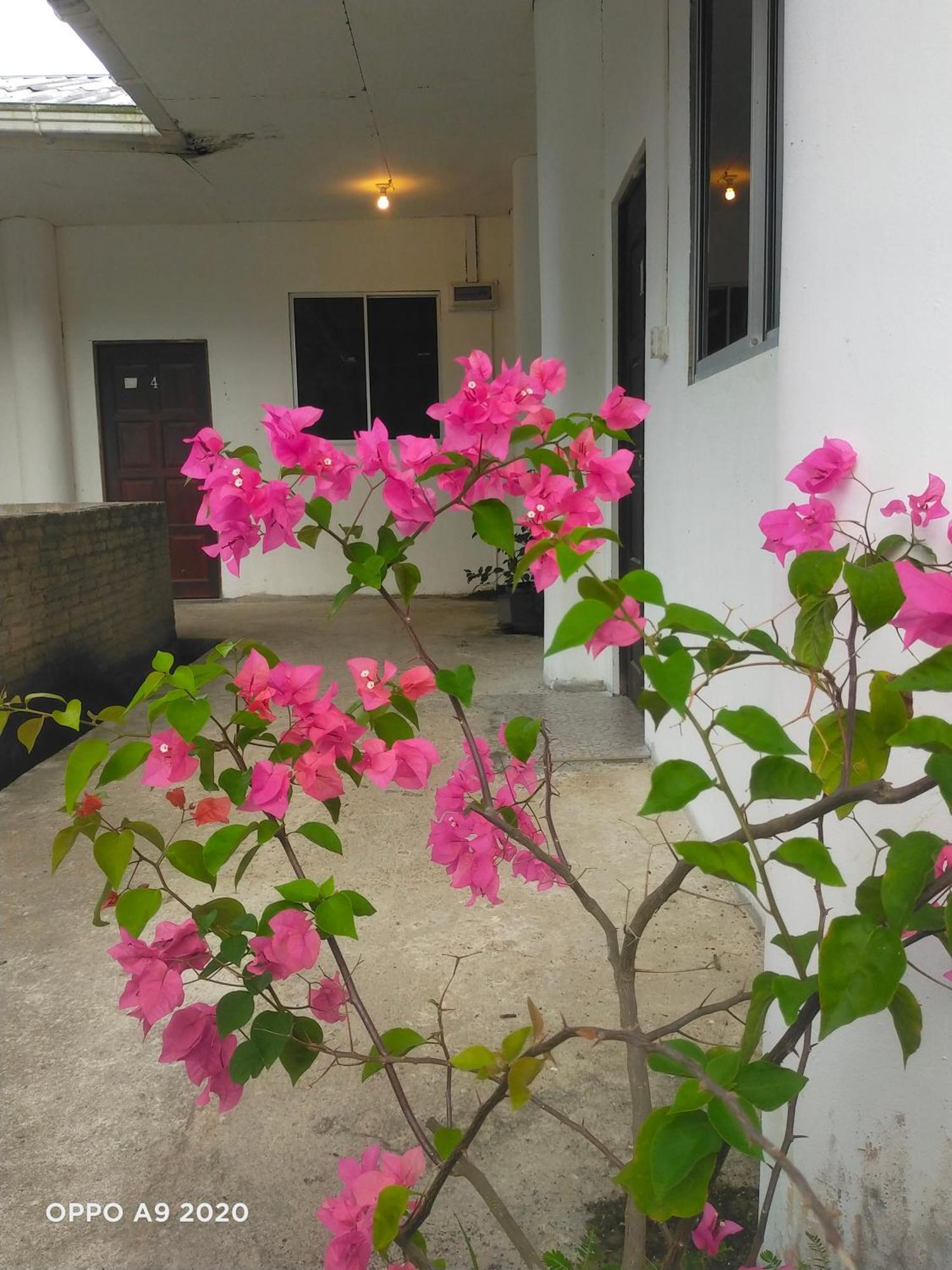Sukau Tomanggong View Bed & Breakfast 外观 照片