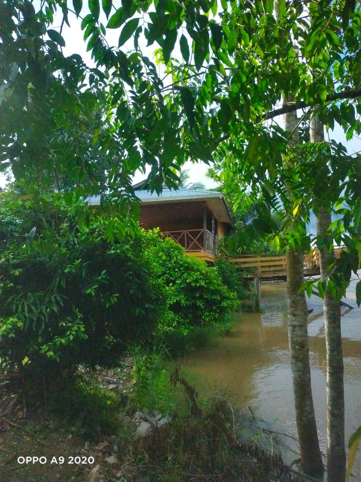 Sukau Tomanggong View Bed & Breakfast 外观 照片